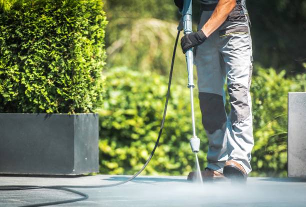 Best Driveway Pressure Washing  in Smyrna, GA