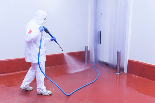 Best Patio and Deck Pressure Washing  in Smyrna, GA
