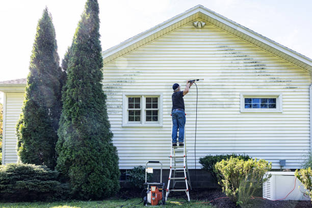 Best Gutter Cleaning  in Smyrna, GA